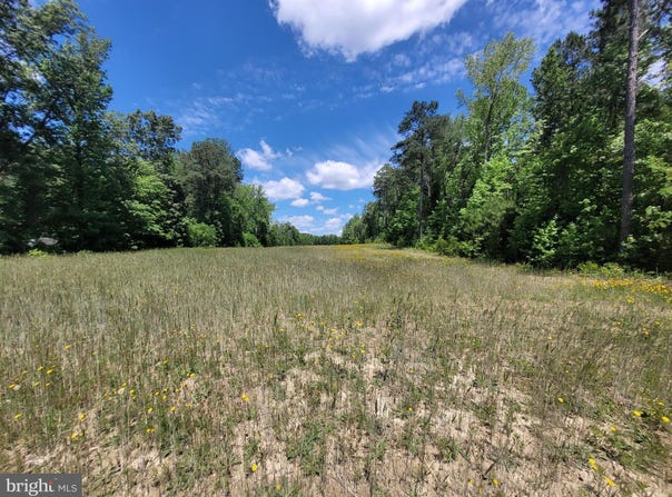 0 PINCKARDSVILLE RD, LANCASTER, VA 22503