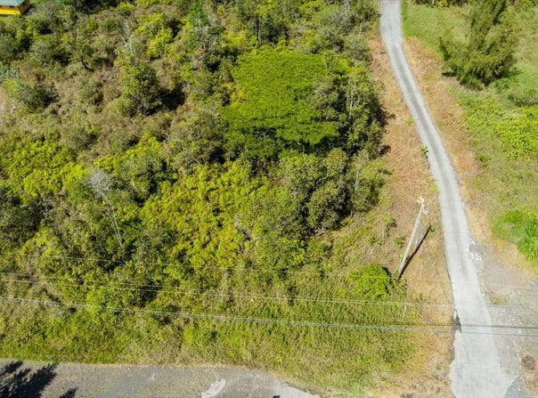 ROAD 9 (KOLOA MAOLI), Kurtistown, HI 96760