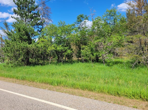80 Lovells Road, Grayling, MI 49738