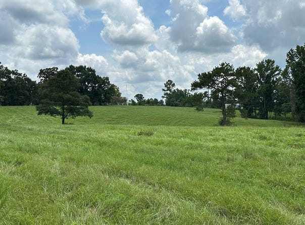 00 Slade Woodward Rd, Poplarville, MS 39470
