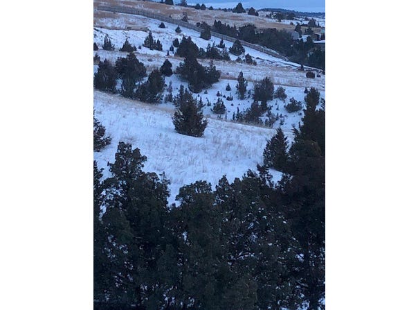 535-A Wheatfield Road, Three Forks, MT 59752