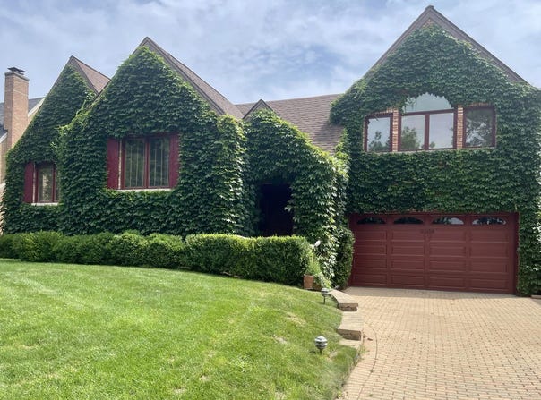 8209 N Oleander Avenue, Niles, IL 60714