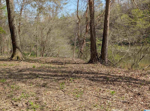 Lot 3 RIVER CREST DRIVE, CORDOVA, AL 35550