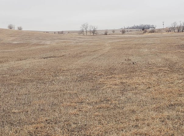 868 Rd, Belden, NE 68717