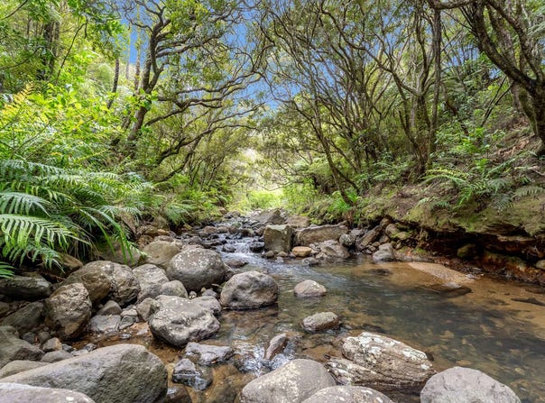 5 Silverstream Falls Row, Whenuakite, Thames-Coromandel