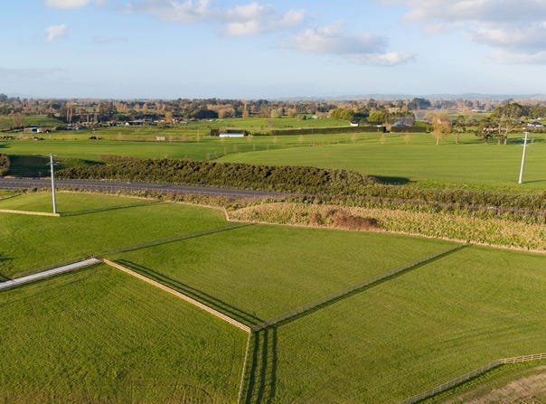 Matangi, Waikato