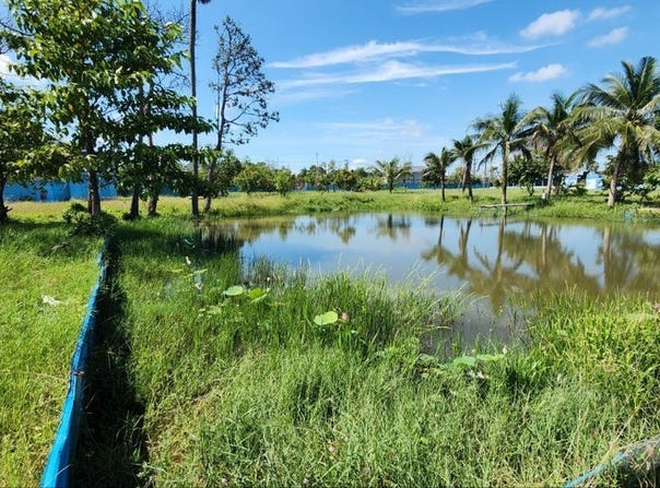 Ponhea Lueu, Ponhea Lueu, Kandal