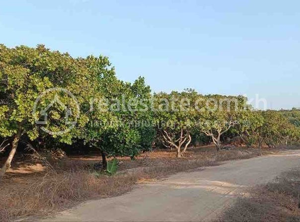 Samraong, Samraong, Oddar Meanchey