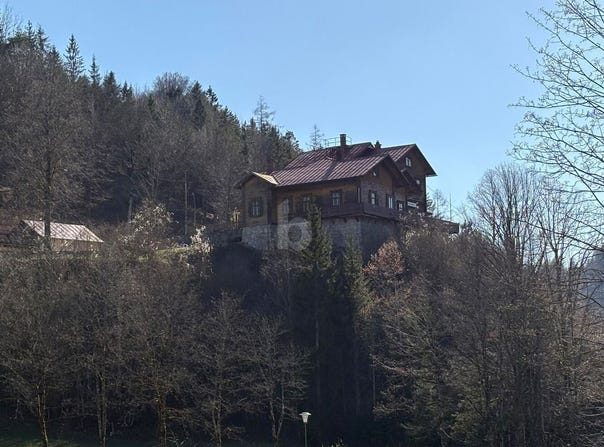 Lunz am See, Lower Austria 3293
