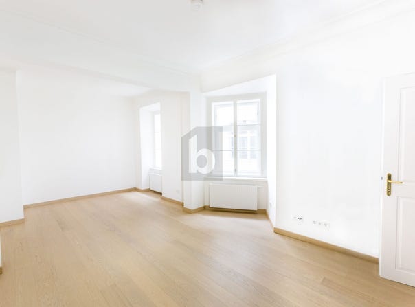 Wien, Vienna 1010