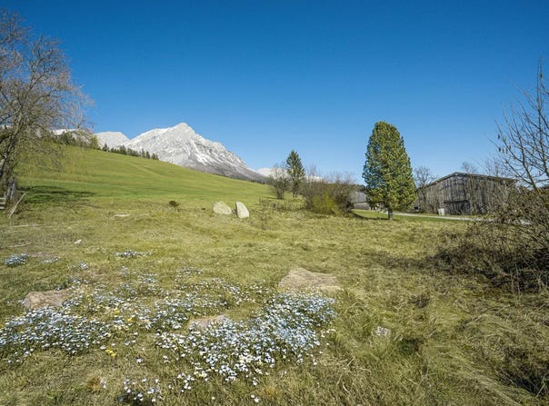 Ellmau, Tyrol 6352