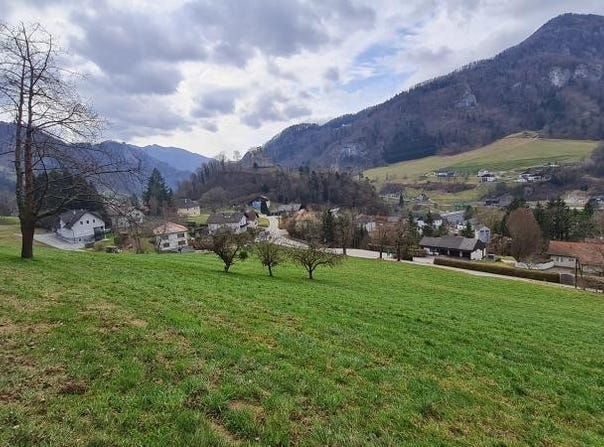 Losenstein, Upper Austria 4460