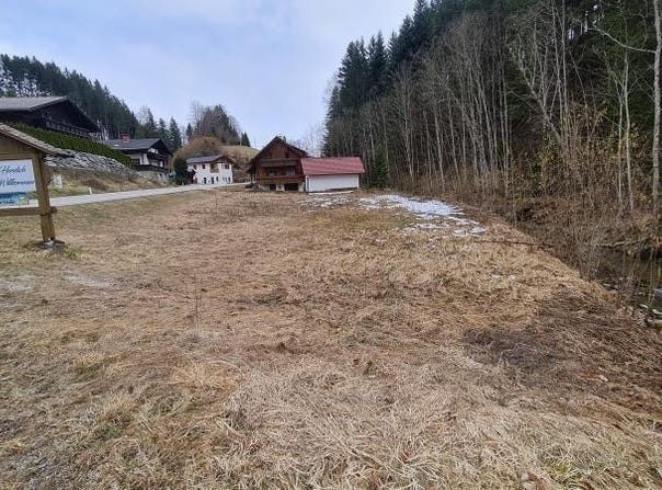 Vorderstoder, Upper Austria 4574