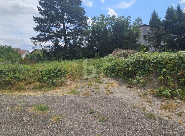 Bisamberg, Lower Austria 2102