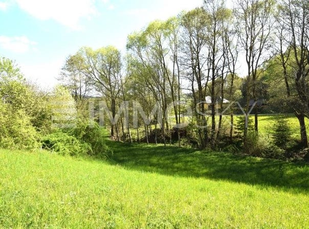 Schenkenfelden, Upper Austria 4192