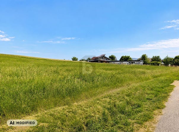 Schildorn, Upper Austria 4920