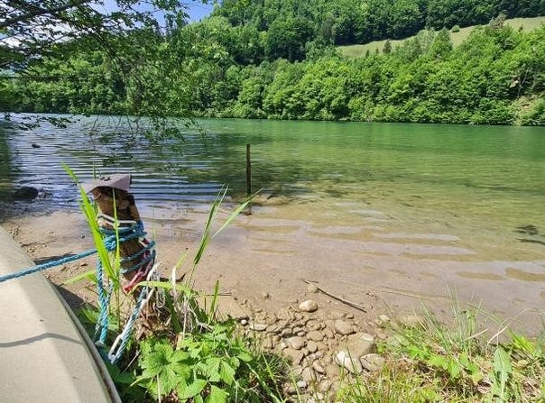 Losenstein, Upper Austria 4460