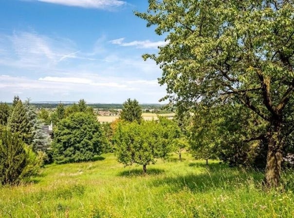 Sankt Andrä-Wördern, Lower Austria 3423