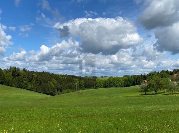 Maria Schmolln, Upper Austria 5241