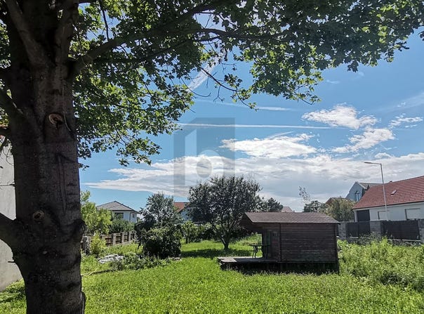 Purbach am Neusiedler See, Burgenland 7083