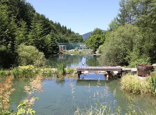 Ybbsitz, Lower Austria 3341