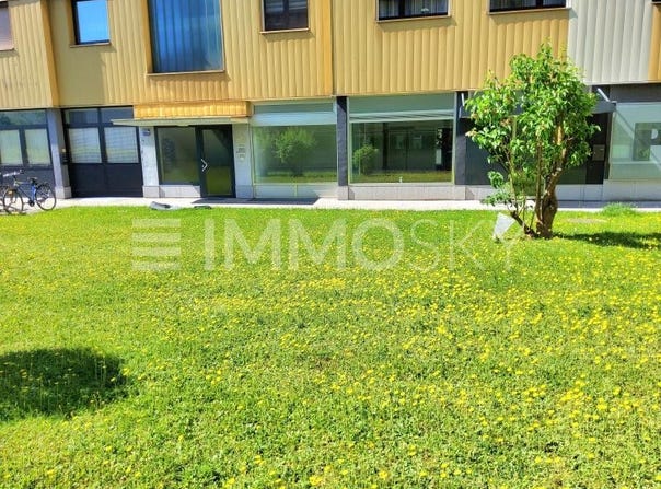 Wels, Upper Austria 4600