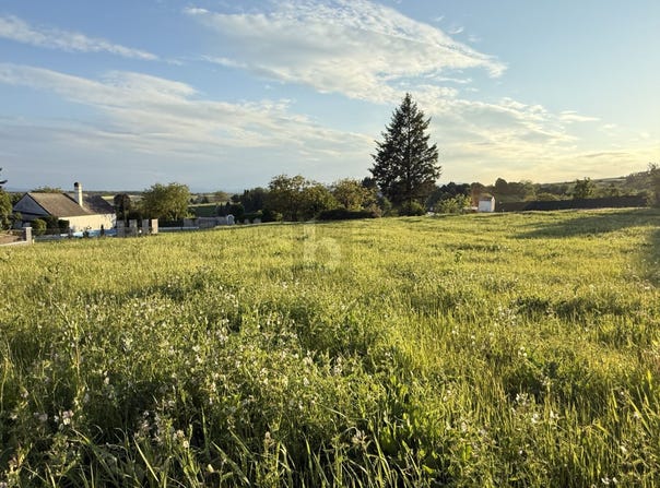 Ritzing, Burgenland 7323