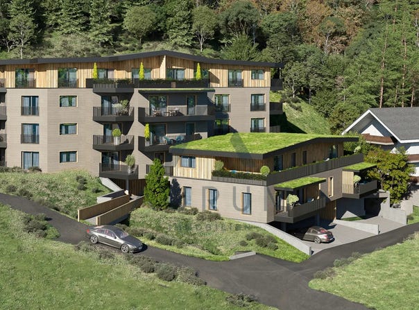 Hart im Zillertal, Tyrol 6265