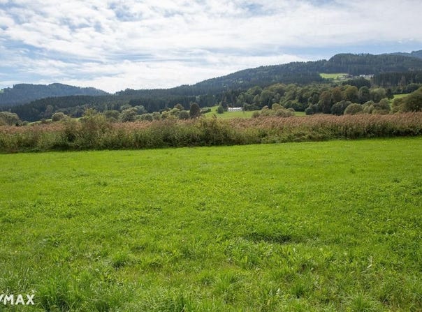 Bad Sankt Leonhard im Lavanttal, Carinthia 9462