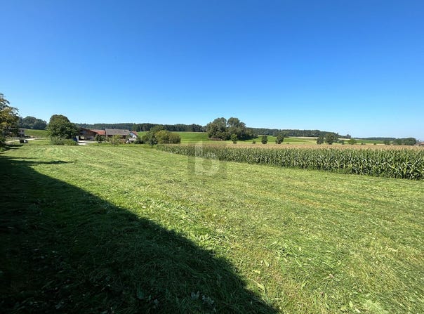 Feldkirchen bei Mattighofen, Upper Austria 5143