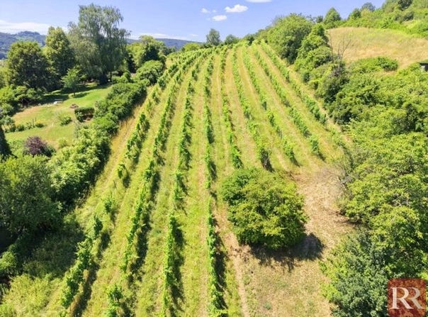 Klosterneuburg, Lower Austria 3400