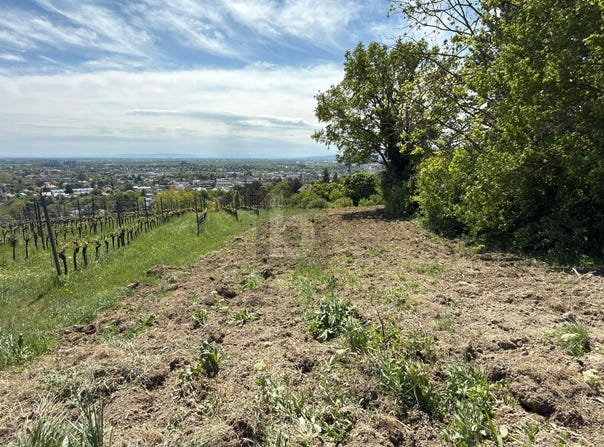 Baden, Lower Austria 2500