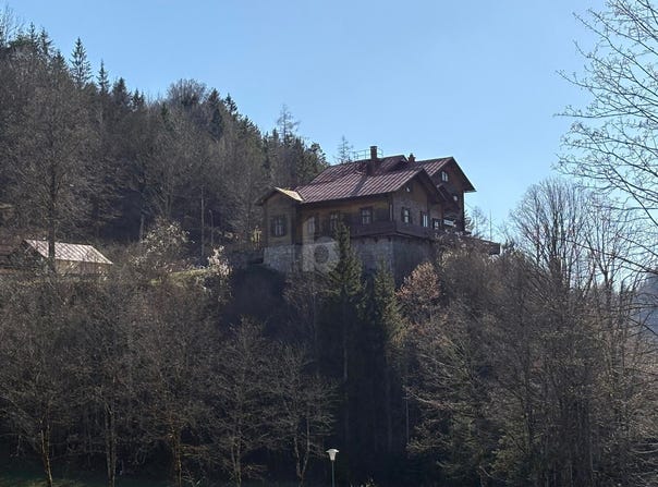 Lunz am See, Lower Austria 3293