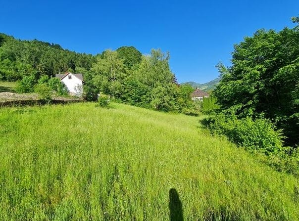 Losenstein, Upper Austria 4460