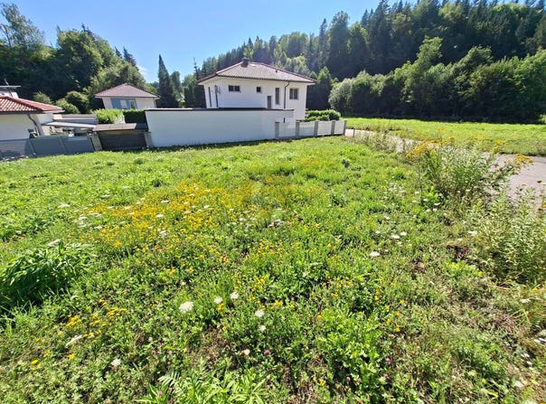 Klagenfurt-Wölfnitz, Carinthia 9061