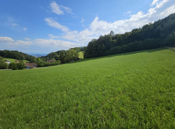 Altlichtenberg, Altlichtenberg, Upper Austria 4040