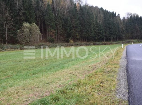 Gramastetten, Upper Austria 4201