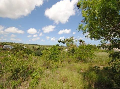 Westmoreland Lot 10 and 10A, Westmoreland, Saint James