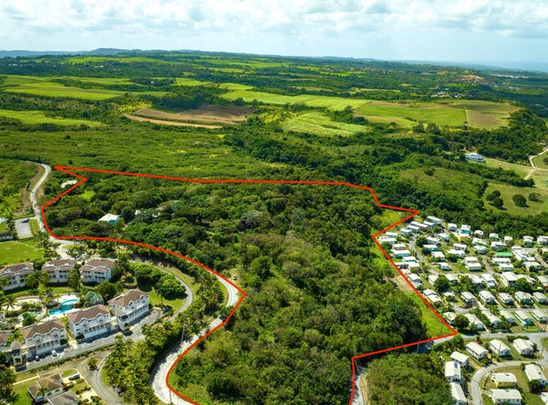 Mount Brevitor Land, Mount Brevitor, Saint Peter