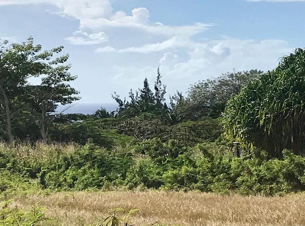 Royal Westmoreland, Westmoreland, Saint James