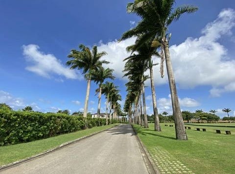 Apes Hill Polo Estate, Apes Hill, Saint Andrew