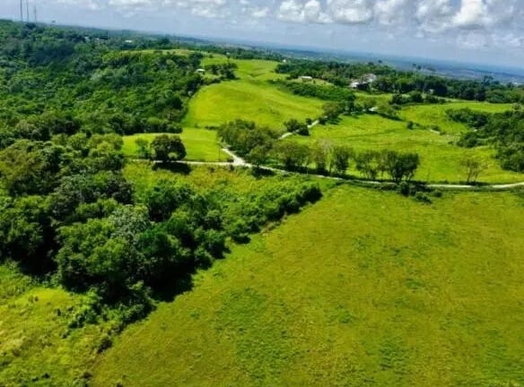 Dunscombe, St. Thomas, St.Thomas, Saint Thomas