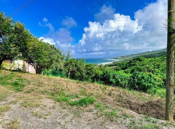 Atlantic Park, Cattlewash, St. Joseph, St.Joseph, Saint Joseph