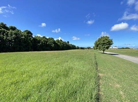 Apes Hill Polo Estate, Apes Hill, Saint Andrew
