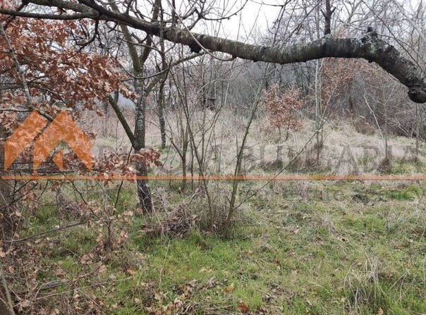 м-т Ракитника/m-t Rakitnika, Варна, Varna 9021