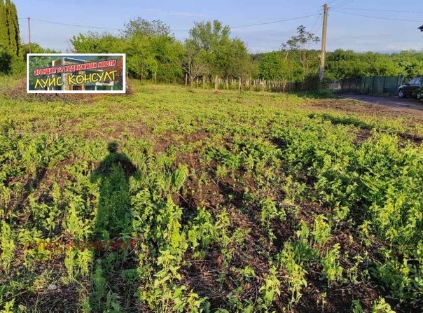 Парта 1/Parta 1, Монтана, Montana Province