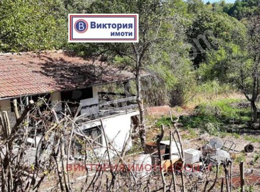 м-т Козлуджа/m-t Kozludja, Велико Търново, Veliko Tarnovo Province