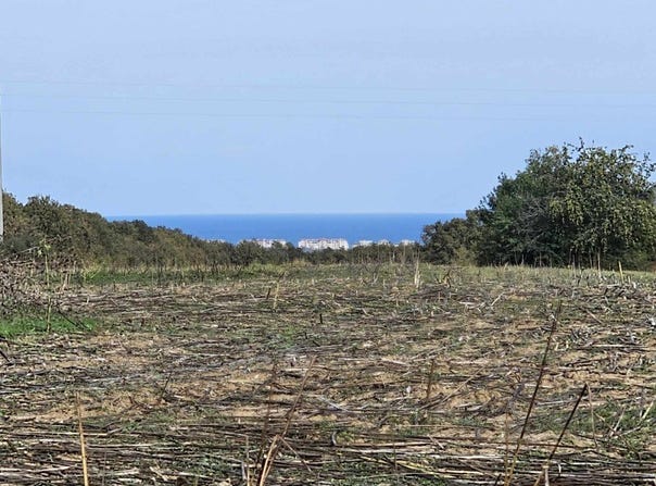 с. Приселци, на 7км. от Обзор/s. Priselci, na 7km. ot Obzor, Бургас, Burgas