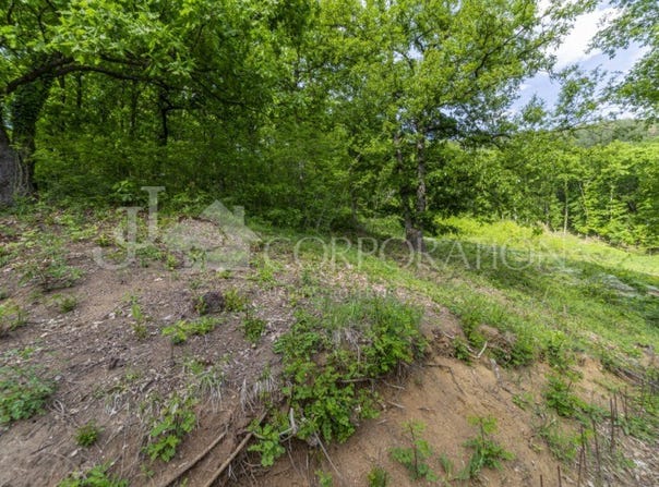 с. Рударци/s. Rudarci, Перник, Pernik 2343