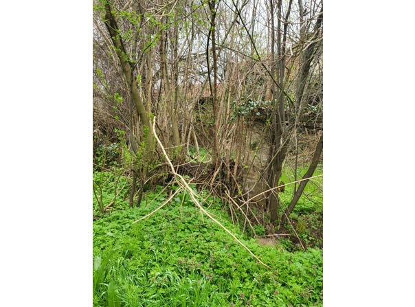 с. Одърне/s. Odarne, Плевен, Pleven Province 5893